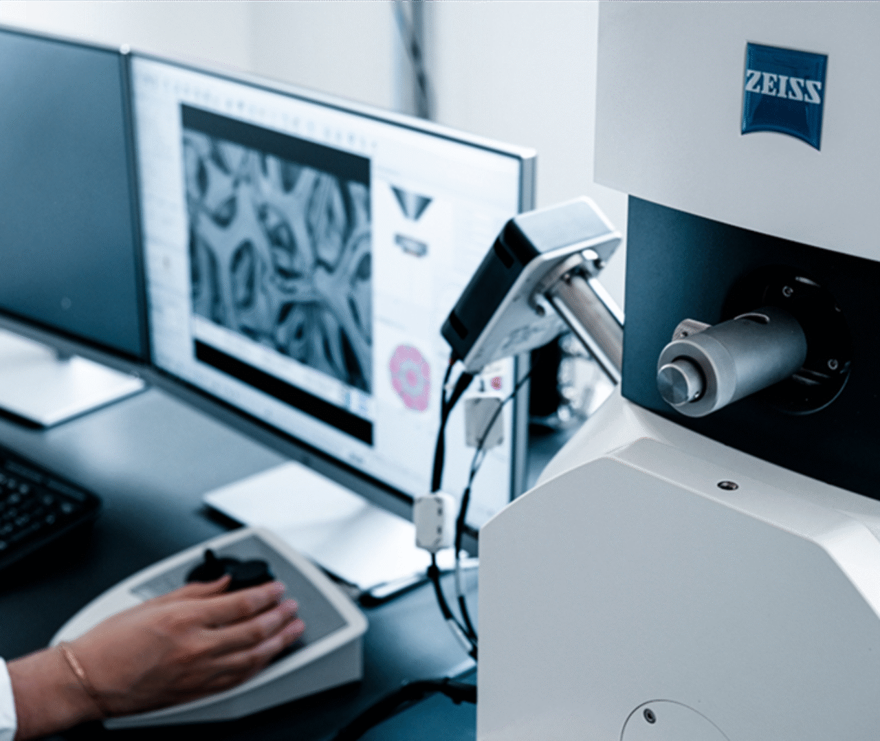 Scanning electron microscope