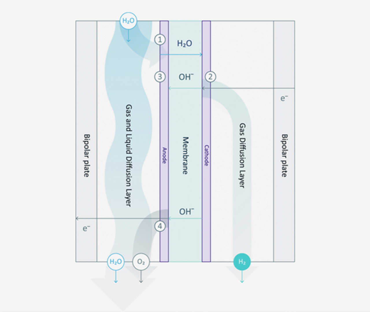 How AEM Electrolysis work?